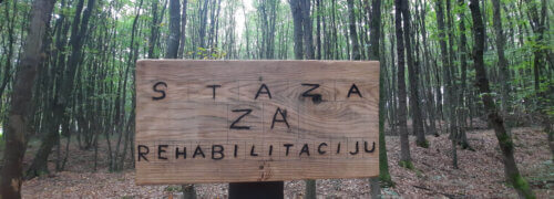 Scott Bader Croatia donate via the Scott Bader Commonwealth to help landscape the Zelengaj forest