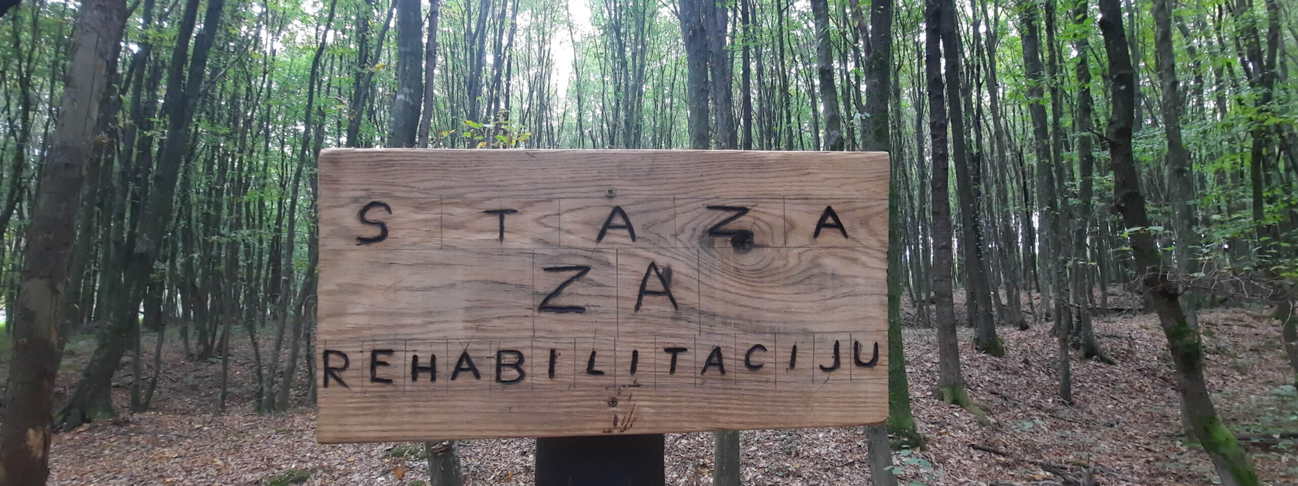 Scott Bader Croatia donate via the Scott Bader Commonwealth to help landscape the Zelengaj forest