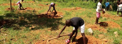Scott Bader Commonwealth grant winner, Ace Africa, complete their fruit tree planting project