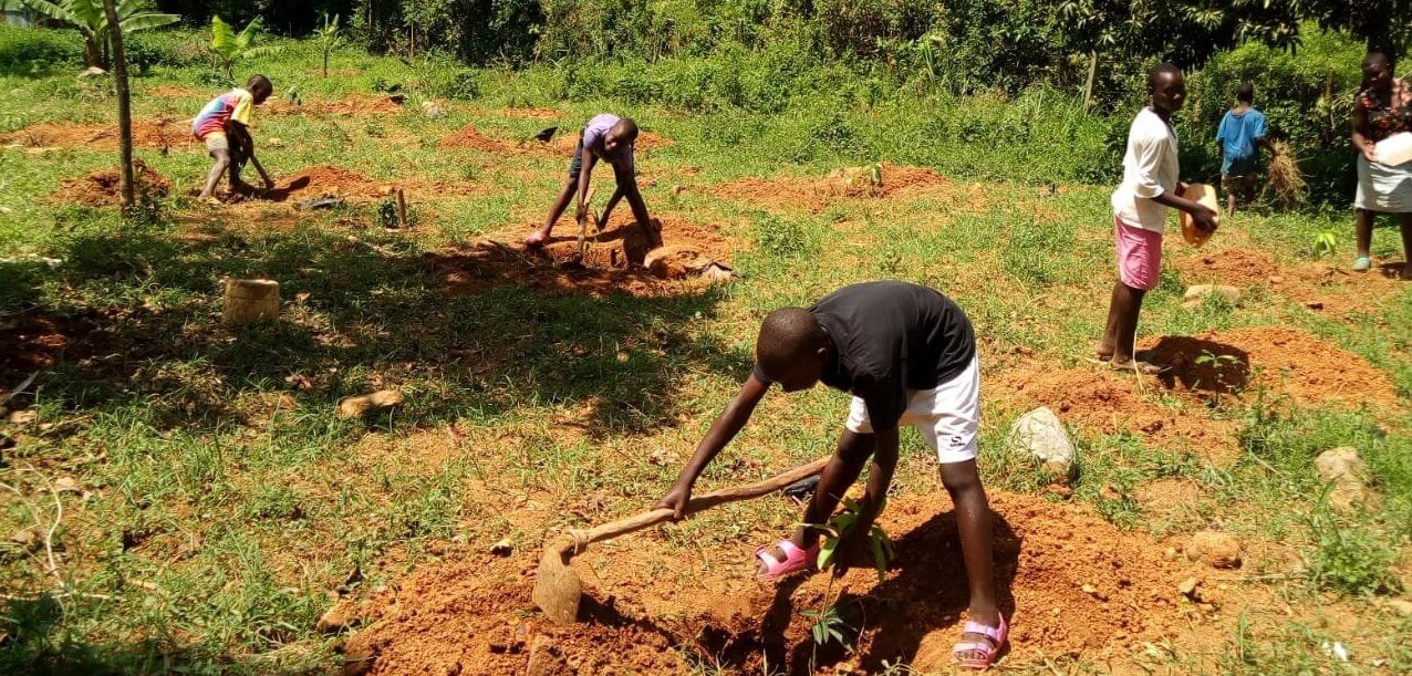 Scott Bader Commonwealth grant winner, Ace Africa, complete their fruit tree planting project