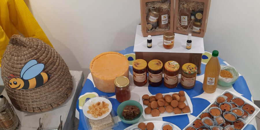 Scott Bader Croatia celebrate World Bee Day